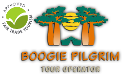 Boogie Pilgrim