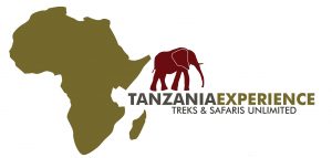 Tanzania-Experience