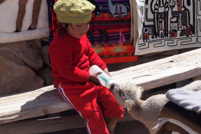 Chile Altiplano - Aymara child