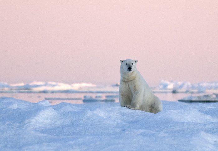 Russian Far East - A Last Frontier of Exploration