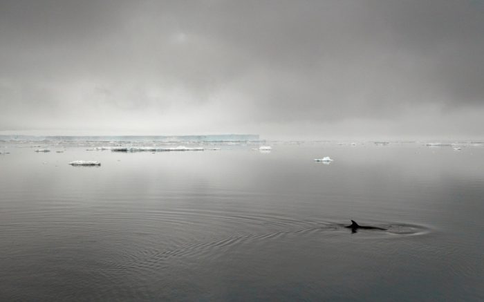 Spectacular ice in Antarctica