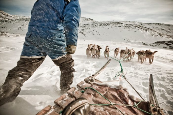 Dogsledding in Greenland