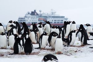 Hurtigruten