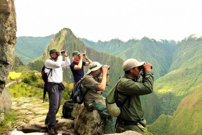 Peru is an Excellent Place for Bird Watching, Wonderful Views! – Machu Picchu, Cusco