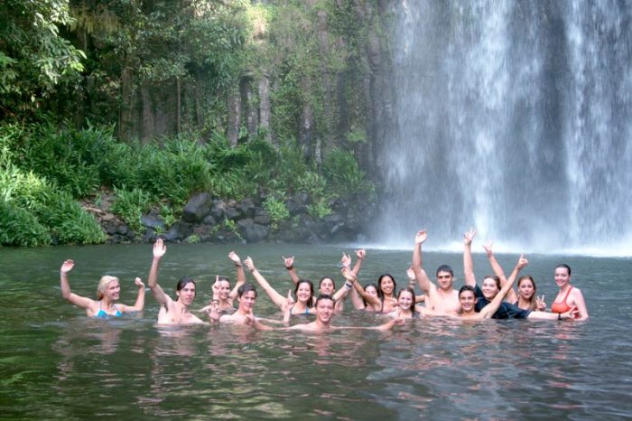 Hidden Waterfalls in the Rainforest