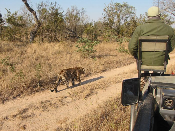 Photos from Arathusa in Sabi Sands, South Africa