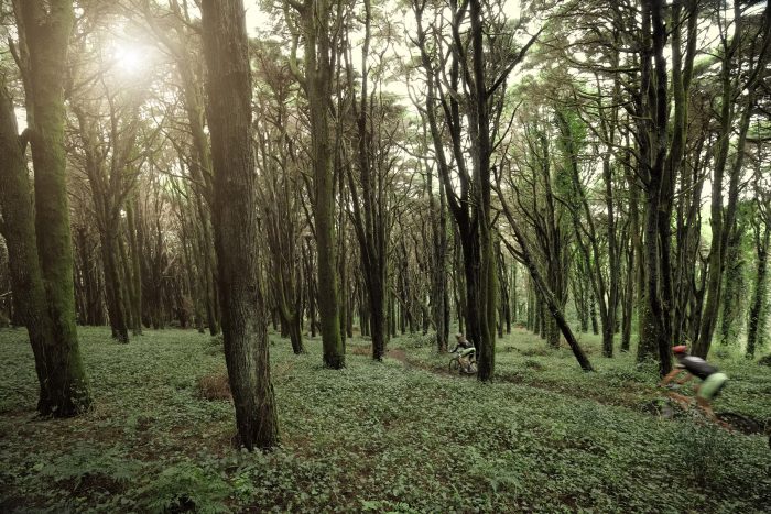 Ride the best trails in Sintra, Estrela, Lousã or Arrábida mountain range.