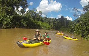 Ecuador Pure Life