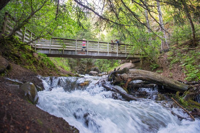 Bridge - McHugh Creek 2013 - Roy Neese