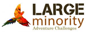 Large Minority - Adventure Challenges