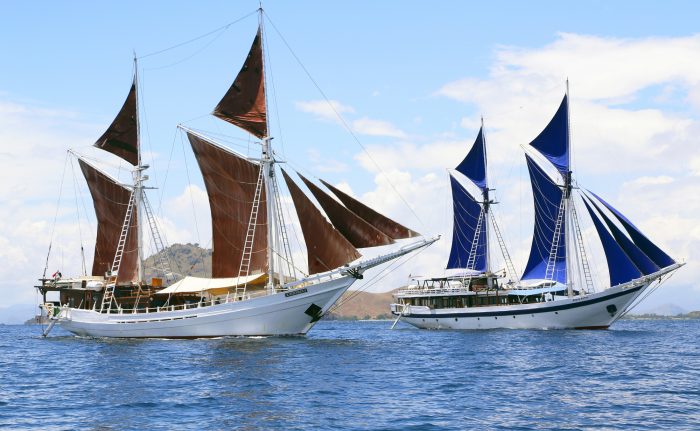 Katharina and Ombak Putih going through their paces in Komodo National Park