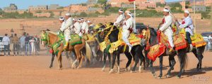 Morocco Immersion Tours & Adventures