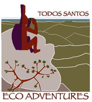 Todos Santos Eco Adventures