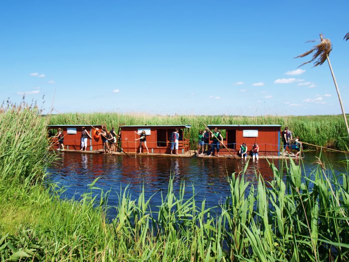 Biebrza Marshes