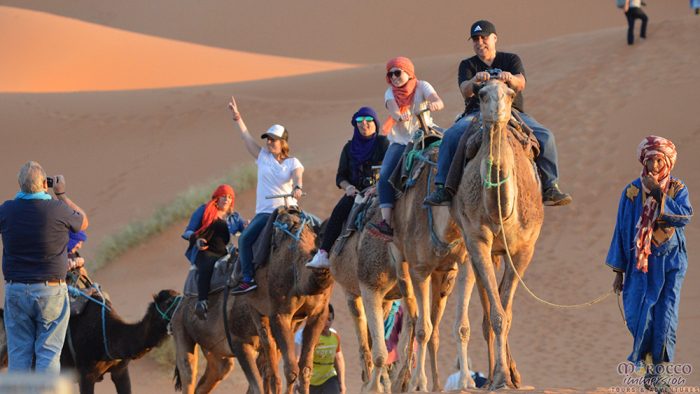 Camel Trek in the Sahara Dunes