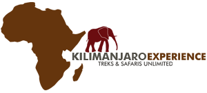 Kilimanjaro-Experience