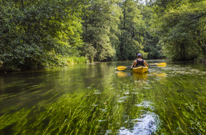 Kayaking on the Rospuda River