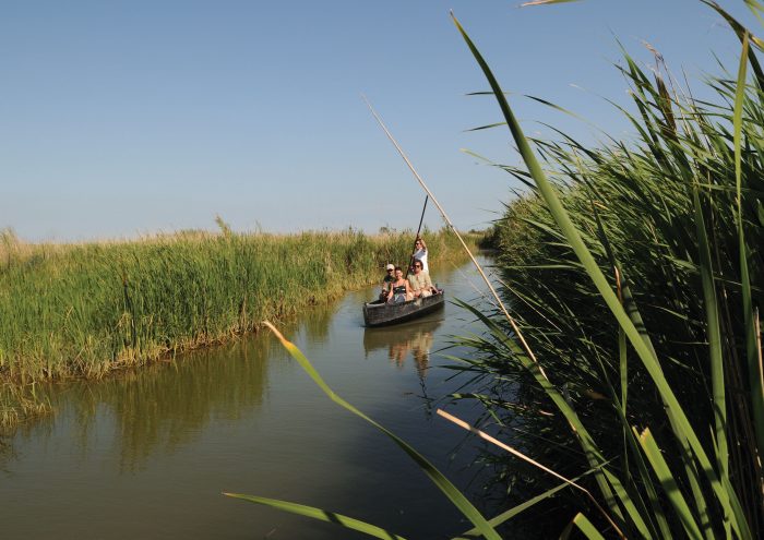 Tourist Boats on the Lake Perch Encanyissada