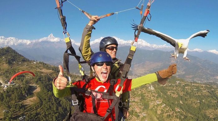 Himalayan Parahawking - Nepal is more than Trekking!