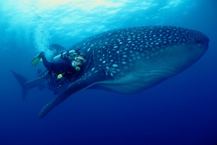 Up close and personal with the locals!