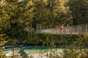 New Zealand Walking Tours
