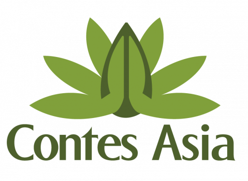 Contes Asia  Private Limited (Travel)