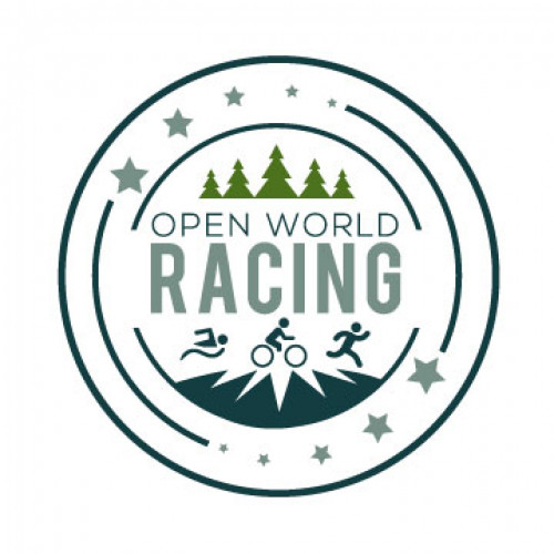 Open World Racing