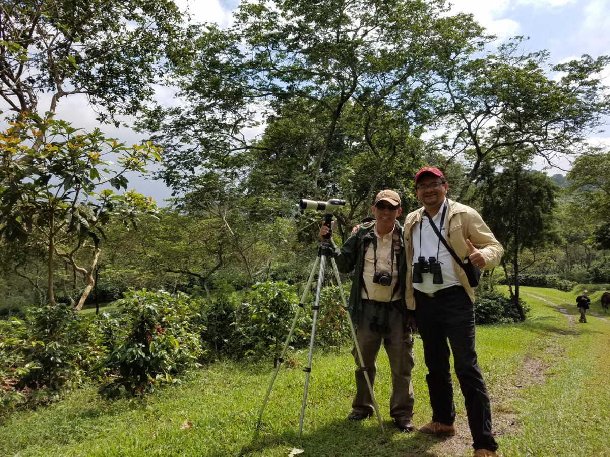 Birding in the Coffee Farms of Honduras