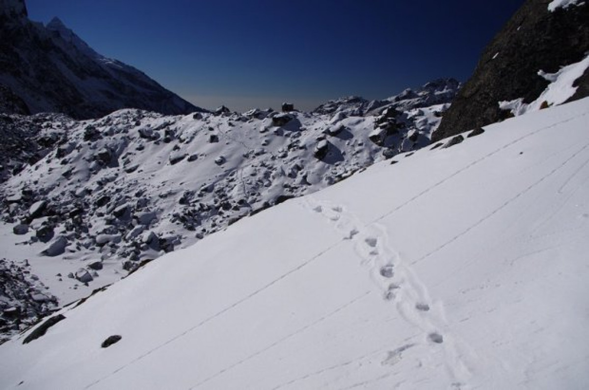 Search For The Snow Leopard- Ghost of the Mountains »