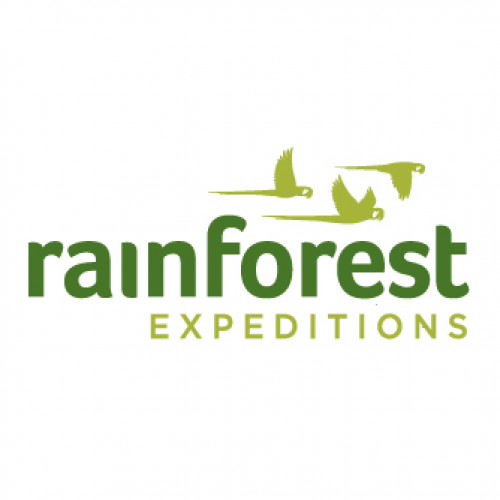 Rainforest Expeditions