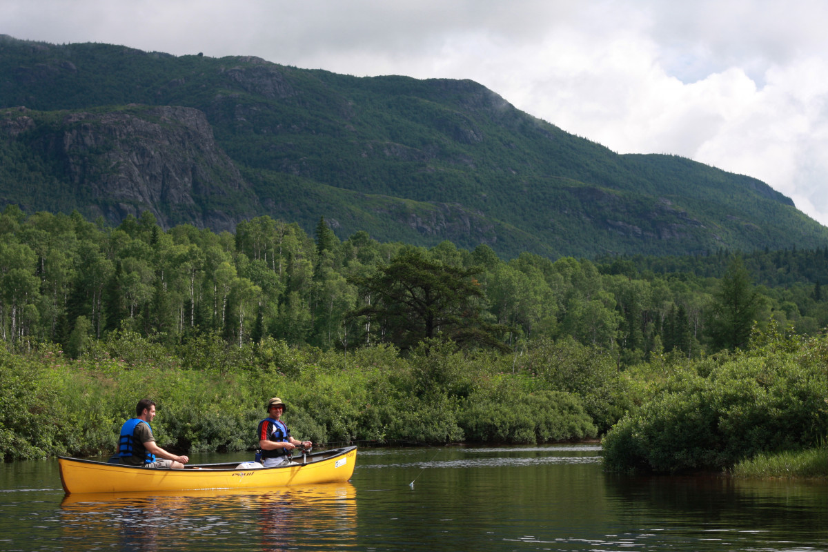 Canoeing and wildlife observation in the boreal forest