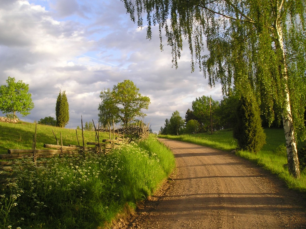 Hiking Tours In Wonderful Nature