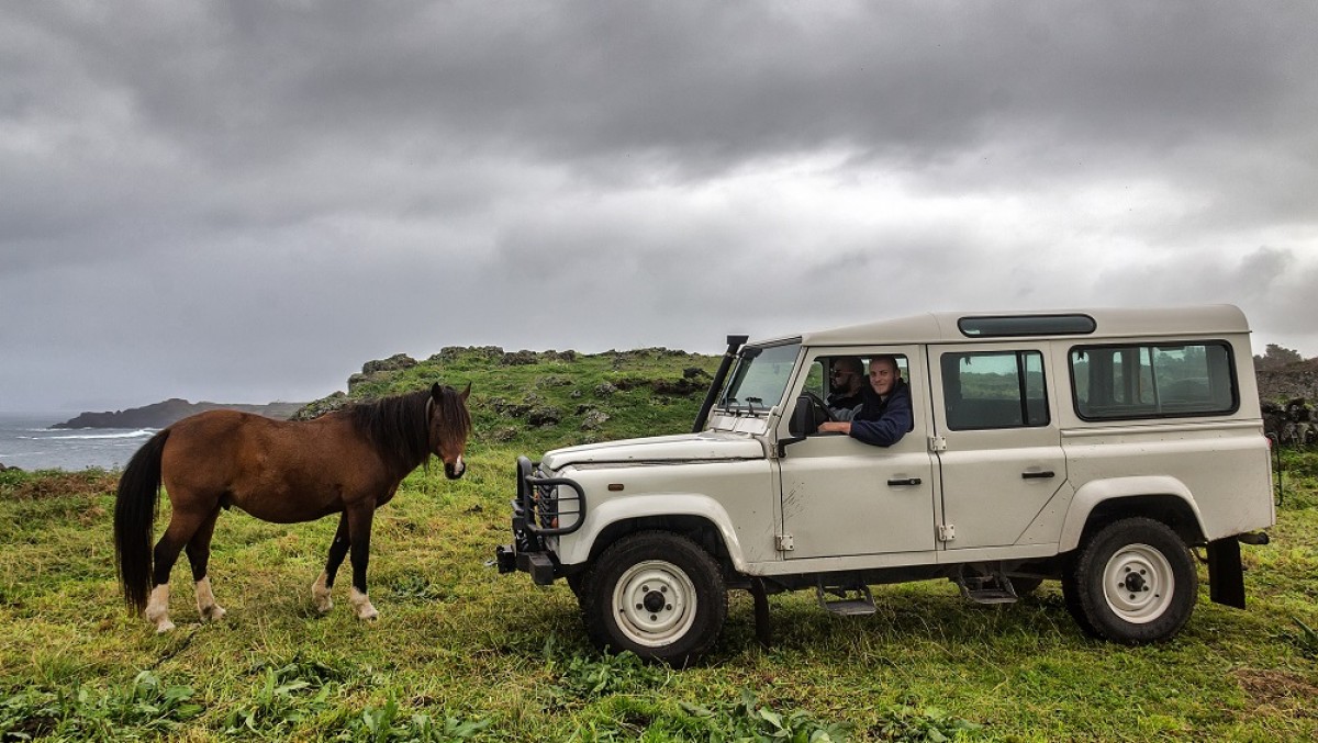It´s all about horsepower!