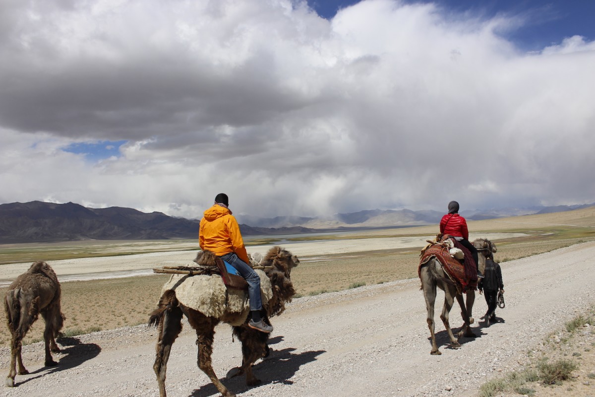 Camel riding near Rangkul Lake