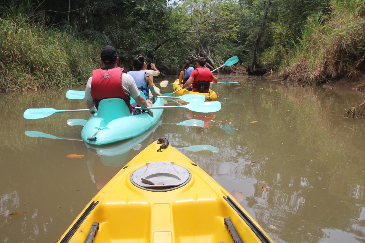 Mangrove Kayaking in Manuel Antonio » Adventure.Travel Inspiring Impactful Travel