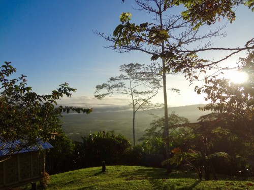 Indigenous Kokoda Adventures