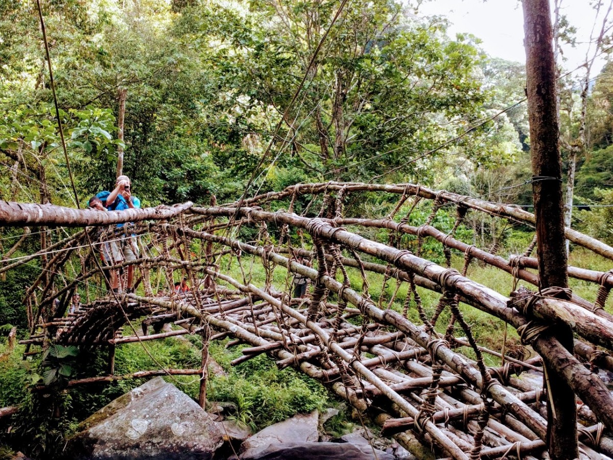 Amazing Journeys...One Bridge at a Time