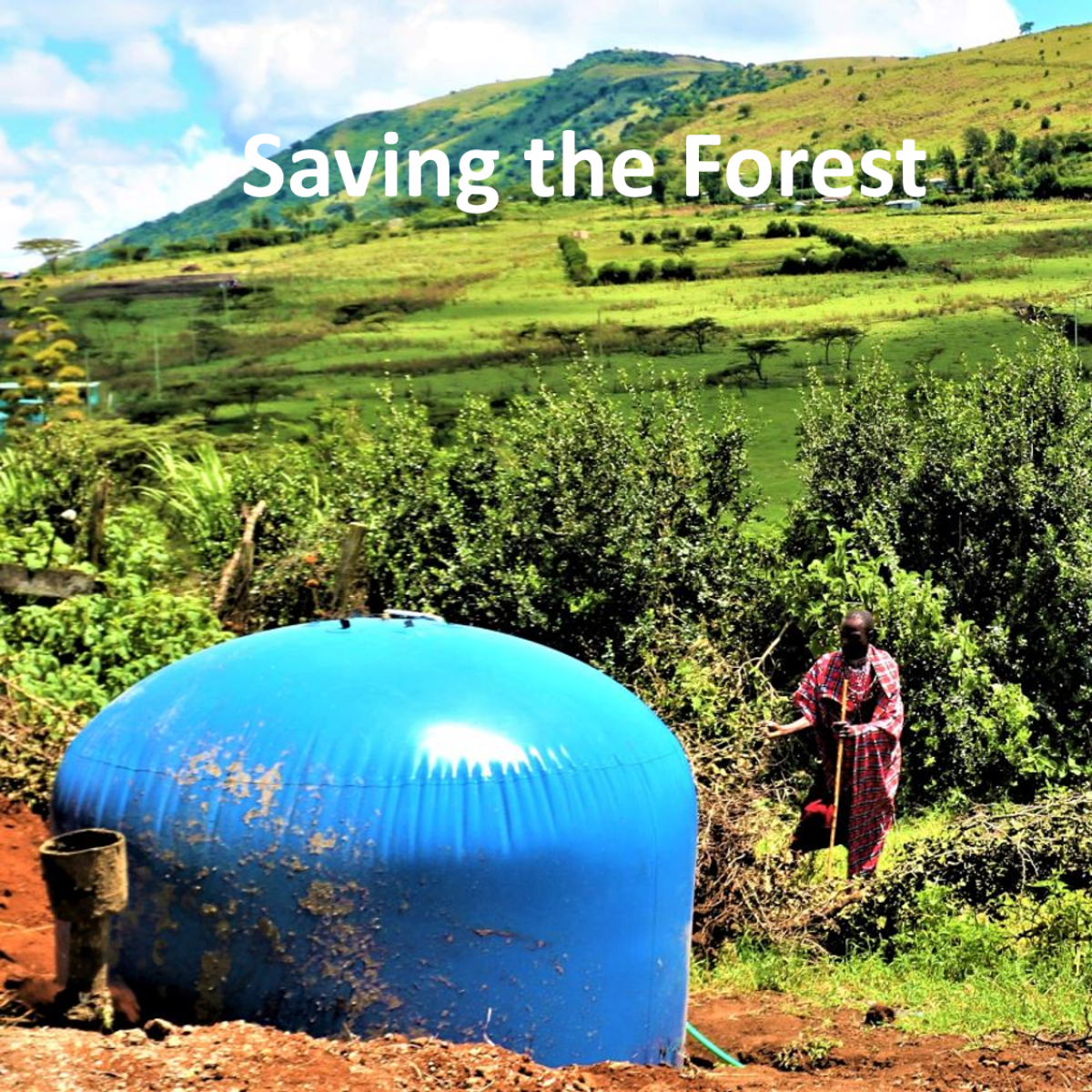 Efforts that Save the Forest