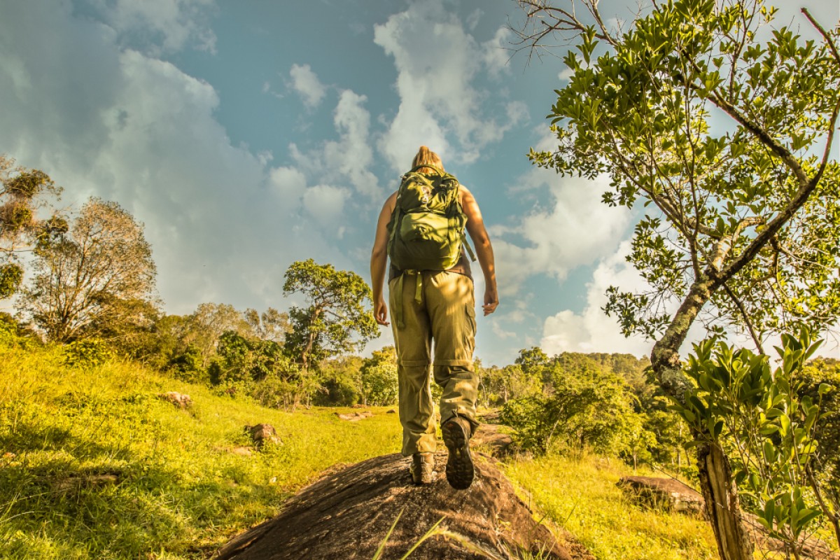 In a Jeep safari you may see Sri Lankan wilderness…But, living in it you feel, hear and smell it... Ahaspukuna Bushwalks Camp