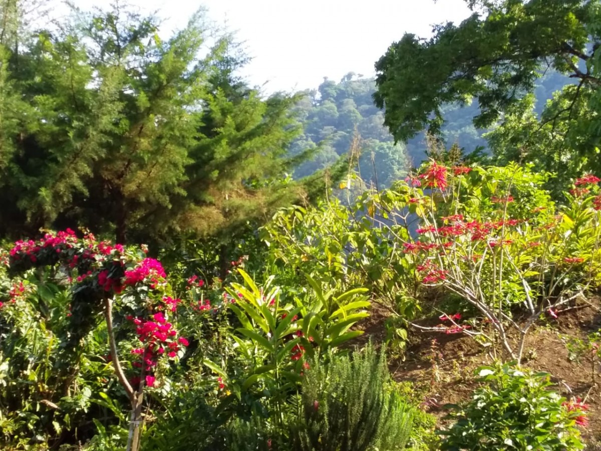 AMAZING HIKING IN NICARAGUA OFF THE BEATEN PATH