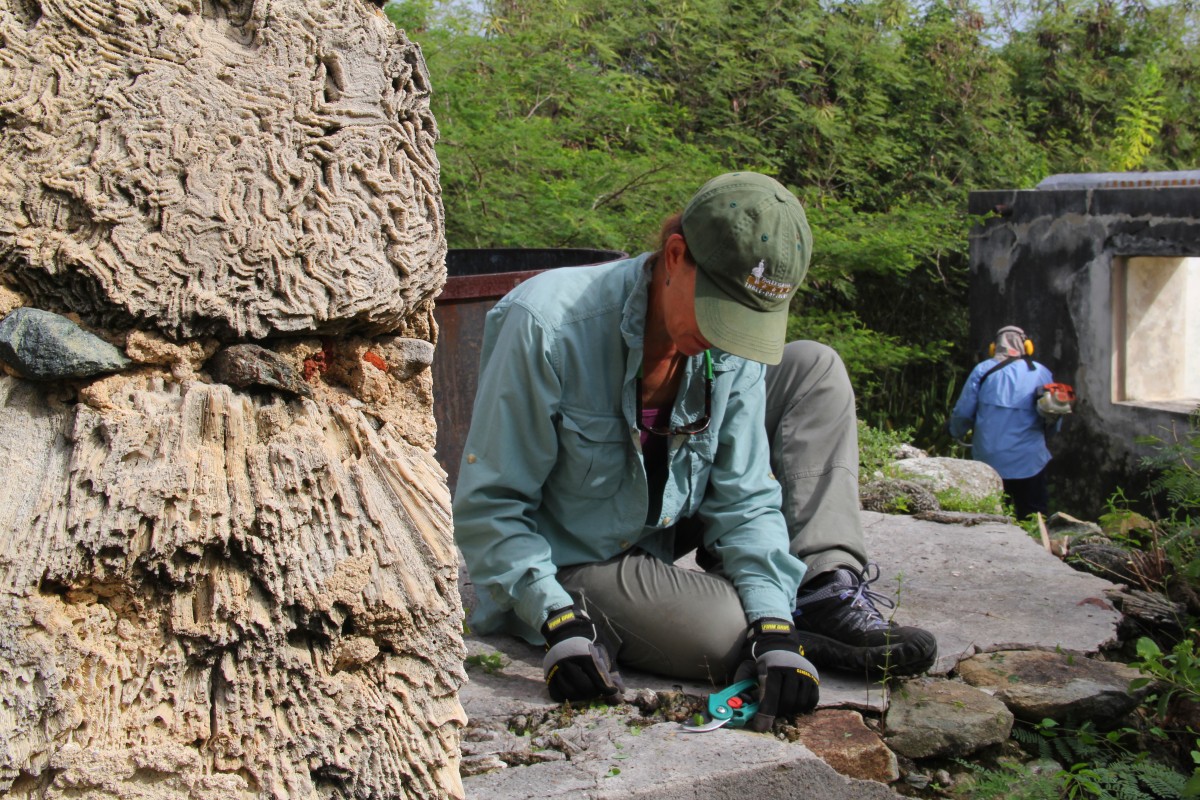 ConservationVIP in the U.S. Virgin Islands