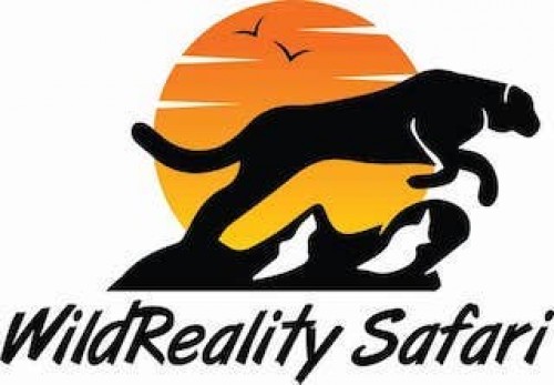 WildReality Safari