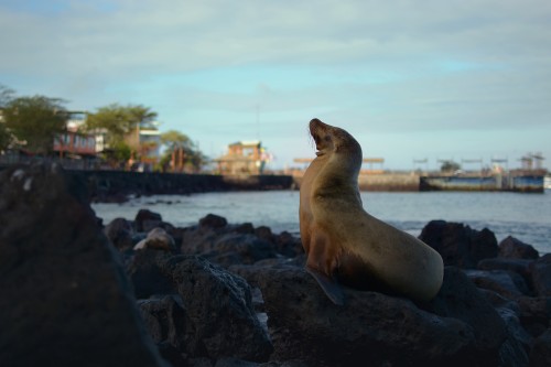 AMAZING ECUADOR