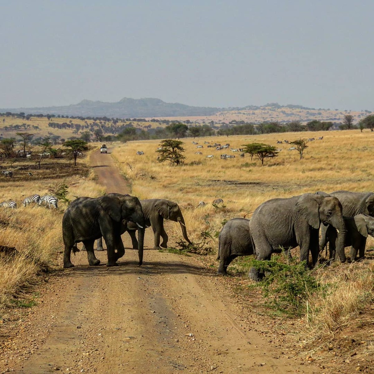 The tour around Mt Kilimanjaro